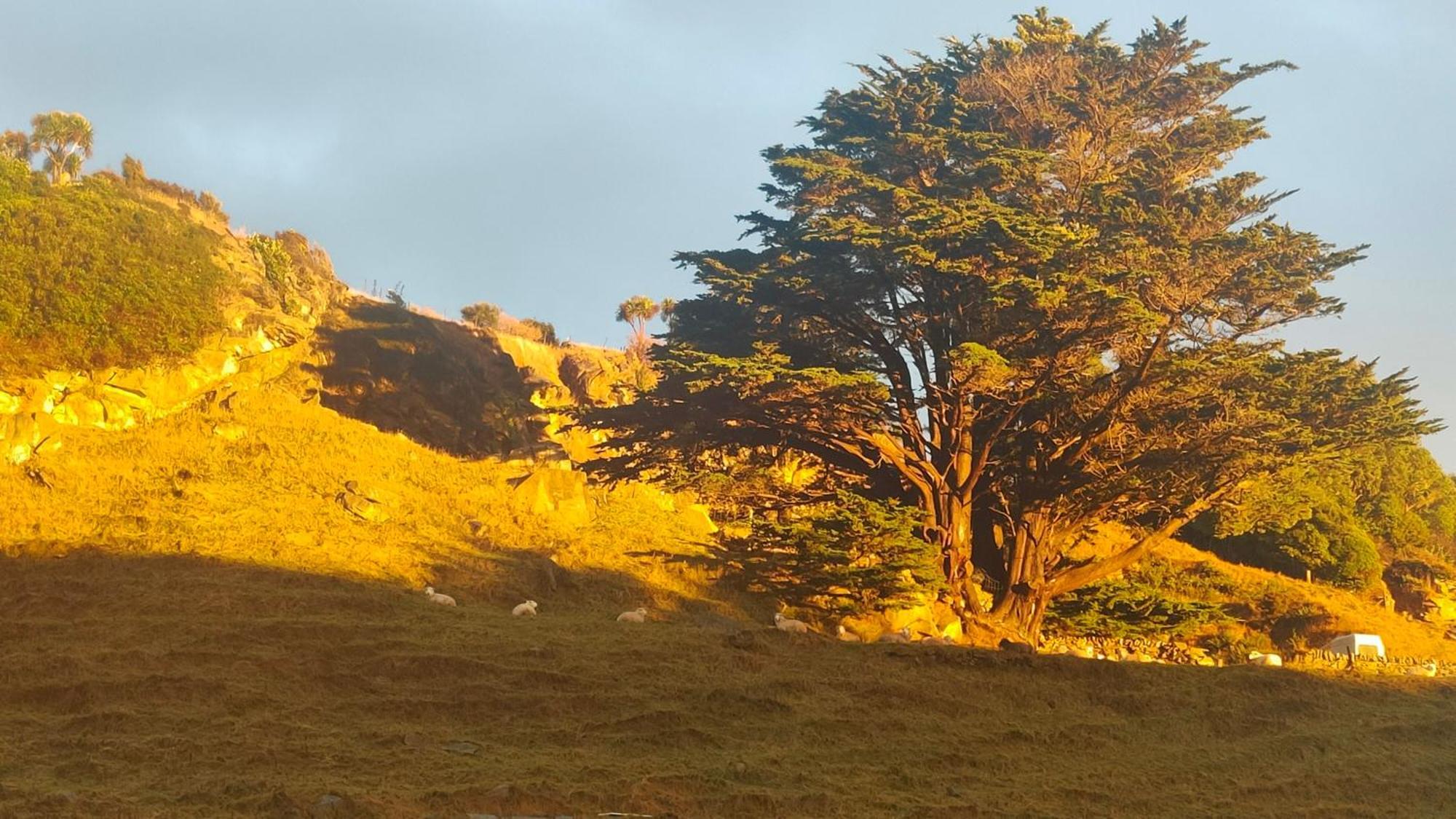 SandymountPukemara Retreat公寓 外观 照片