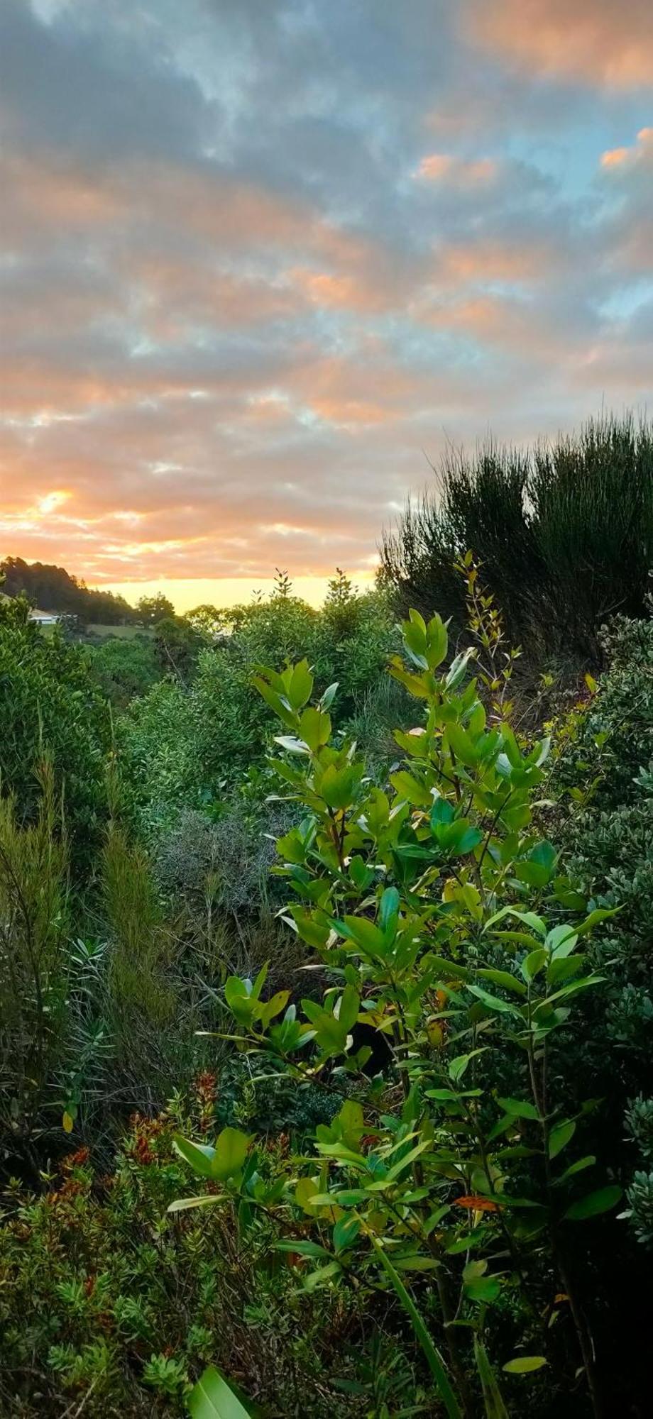 SandymountPukemara Retreat公寓 外观 照片